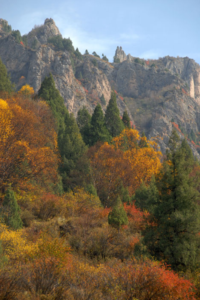 互助北山森林公园