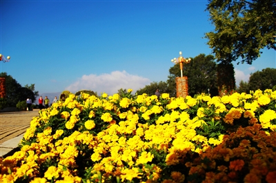 图为西宁南山秋景.