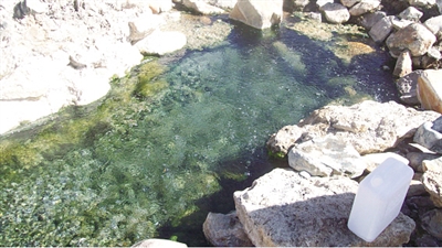 青海冬夏泉10本 青海冬夏泉10本 10箱まとめ売り 青海冬夏