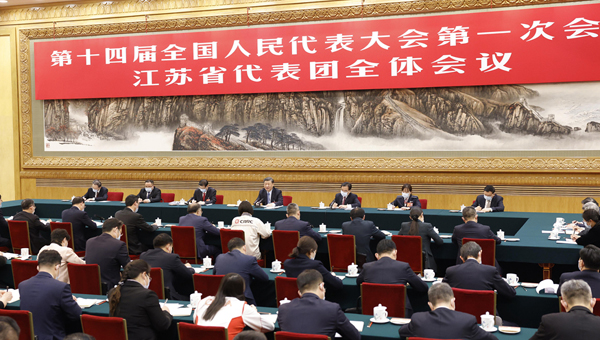 習近平參加江蘇代表團審議