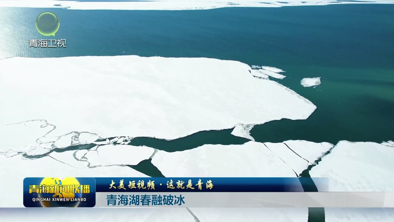 【大美短视频·这就是青海】青海湖春融破冰