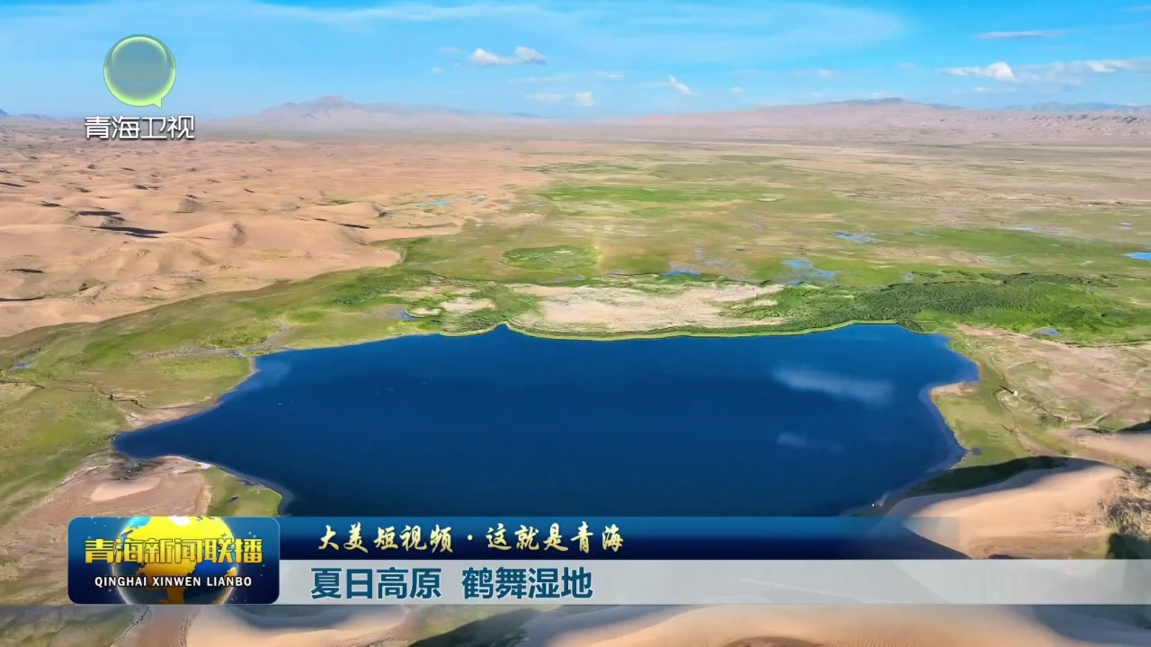 【大美短视频·这就是青海】夏日高原 鹤舞湿地