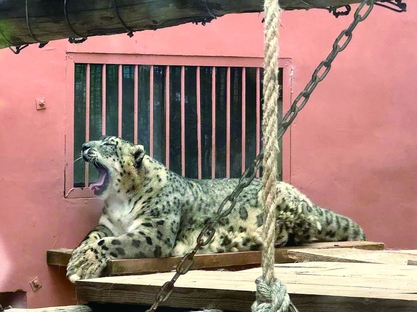 QQ图片20240816061147