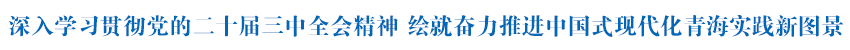 深入学习贯彻党的二十届三中全会精神 绘就奋力推进中国式现代化青海实践新图景