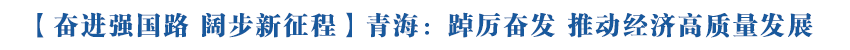 【奋进强国路 阔步新征程·青海新篇章】 青海：踔厉奋发 推动经济高质量发展