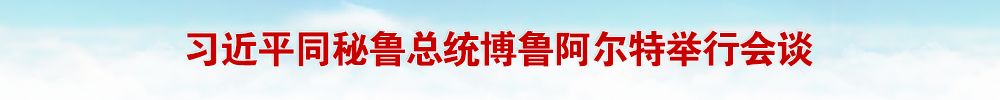习近平同秘鲁总统博鲁阿尔特举行会谈