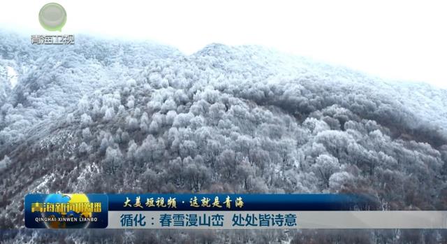 【大美短視頻·這就是青海】循化：春雪漫山巒 處處皆詩(shī)意