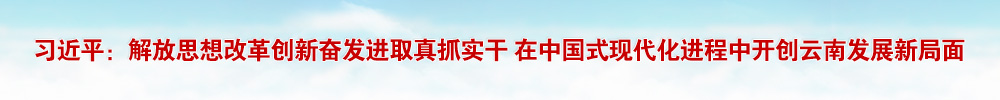 习近平：解放思想改革创新奋发进取真抓实干 在中国式现代化进程中开创云南发展新局面