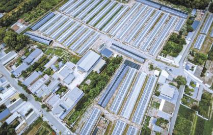 【党旗领航】贵德县以党建引领乡村振兴——支部强起来 产业旺起来 腰包鼓起来