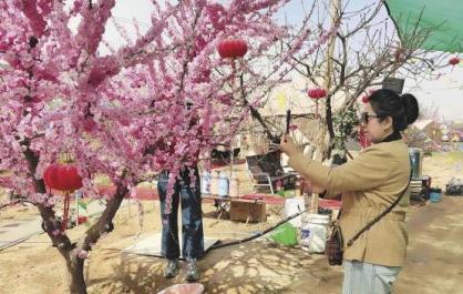 繁花“漾”青海 欢歌“醉”高原——“五一”假日里最欢乐的时光