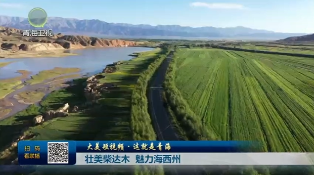 【大美短視頻·這就是青海】壯美柴達木 魅力海西州