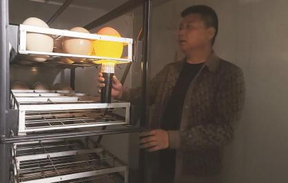 青海海北：金銀灘北非鴕鳥迎來孵化期