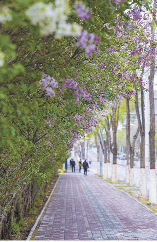 微信图片_20250526062539