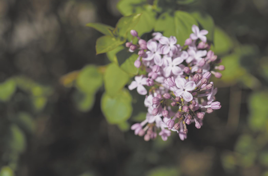 微信图片_20250526062543