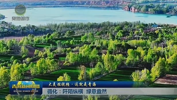 【大美短視頻·這就是青?！垦黑淠翱v橫 綠意盎然