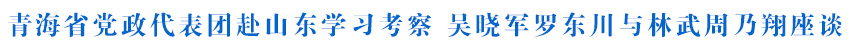 青海省党政代表团赴山东学习考察 吴晓军罗东川与林武周乃翔座谈