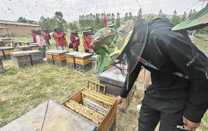 广东游客在互助体验“头采”乐趣
