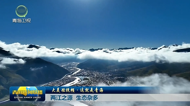 【大美短视频·这就是青海】两江之源 生态杂多