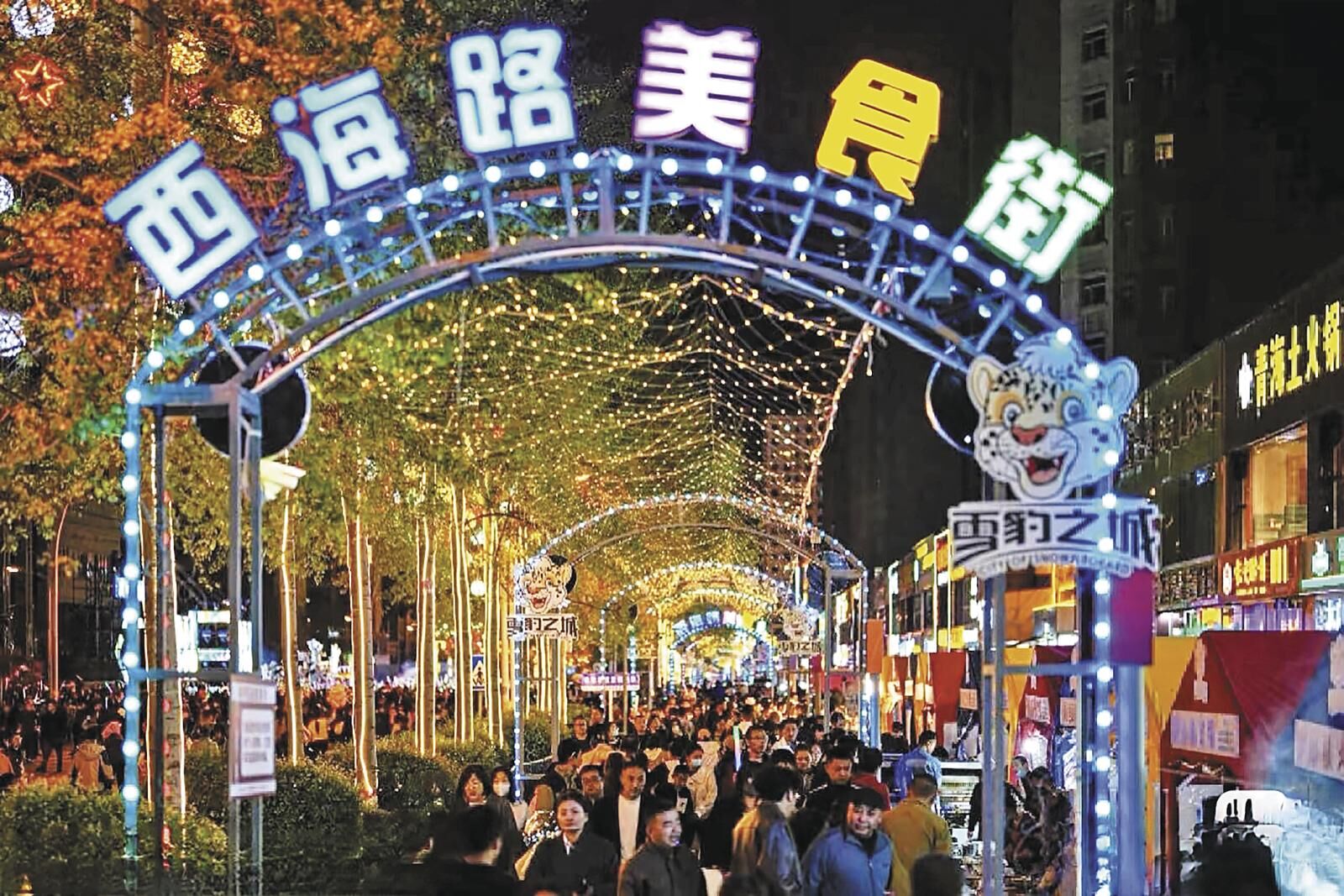 QQ图片20250611061420