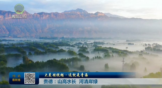 【大美短视频·这就是青海】贵德：山高水长 河清岸绿
