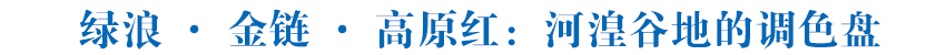 【新时代 新征程 新伟业·高质量发展调研行】绿浪·金链·高原红：河湟谷地的调色盘——青海县域经济发展观察·乐都篇