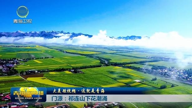 【大美短視頻·這就是青?！块T(mén)源：祁連山下花潮涌