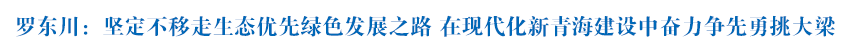 罗东川在海西州格尔木市、德令哈市调研时强调 坚定不移走生态优先绿色发展之路 在现代化新青海建设中奋力争先勇挑大梁