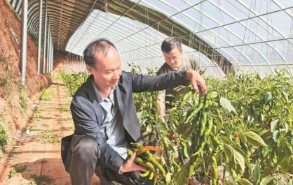 【黨旗在基層一線高高飄揚】黨旗紅耀非遺韻 河湟古調(diào)唱新篇