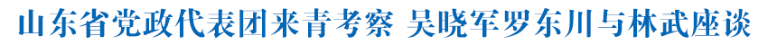 山东省党政代表团来青考察 吴晓军罗东川与林武座谈