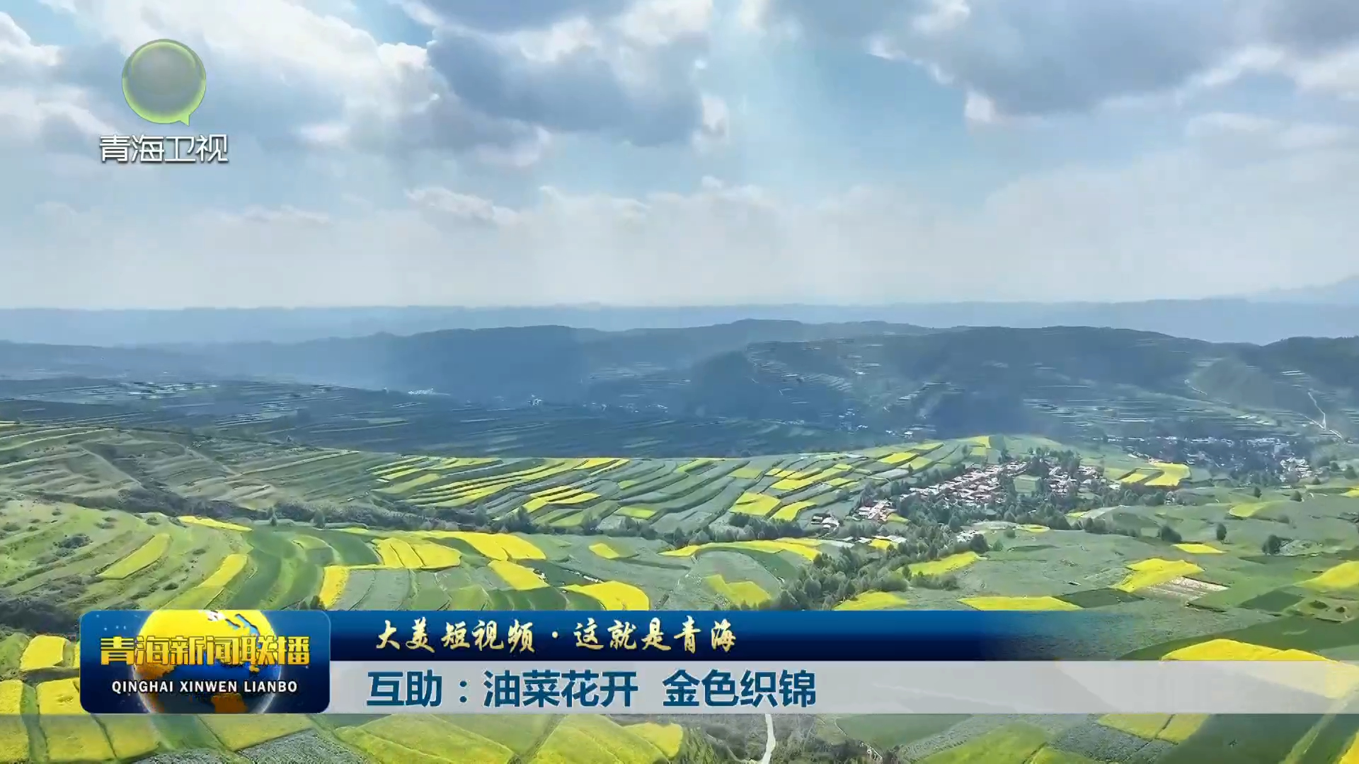 【大美短視頻·這就是青海】互助：油菜花開 金色織錦