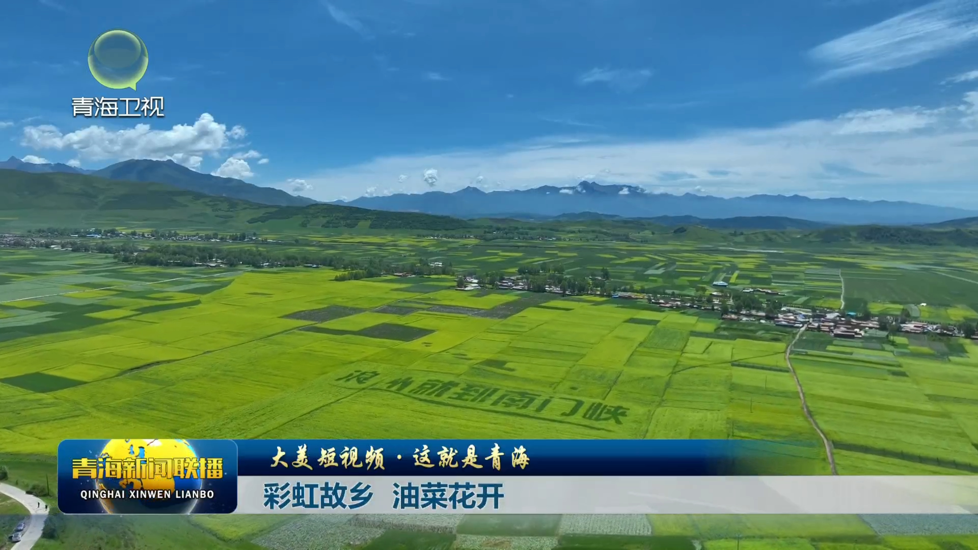 【大美短視頻·這就是青海】彩虹故鄉 油菜花開