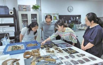 2018血渭一號墓出土部分遺存實驗室清理與保護項目通過驗收