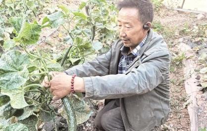 【來自一線的經濟觀察】從“一片空白”到三大園區拔地而起 青海囊謙縣：產業興帶動百姓富