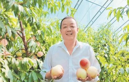 青海乐都区：高原“桃中仙子”激活乡村振兴