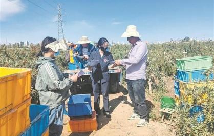 【关注】发挥行政审判职能 守护社会公平正义“最后一道防线”——《2024年度青海省高级人民法院行政审判白皮书》解读