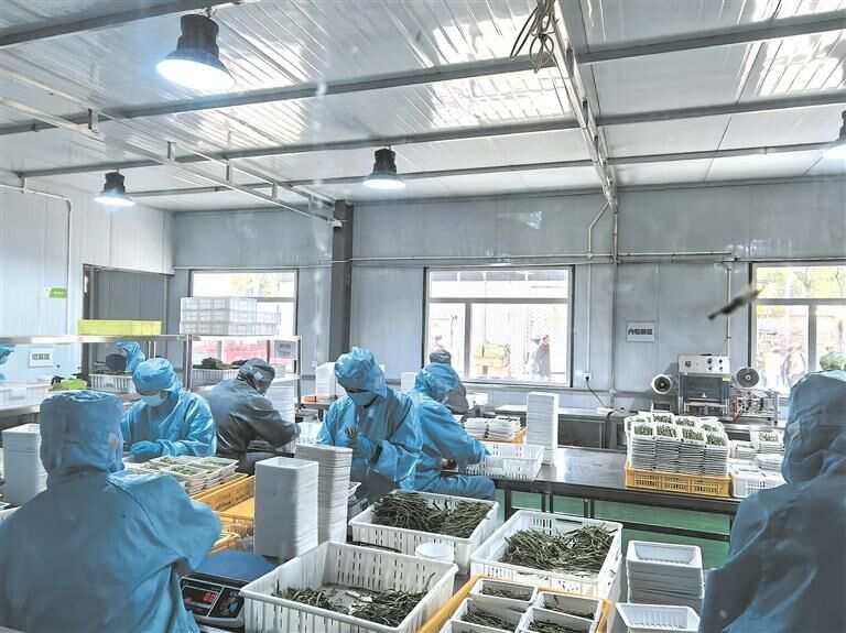 QQ图片20250808053510