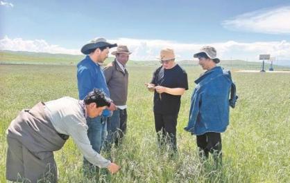 【党旗在基层一线高高飘扬】扎根乡土，于磨砺中绽放青春光芒——记黄南州泽库县巴滩管委会秀恰村党支部副书记拉换加