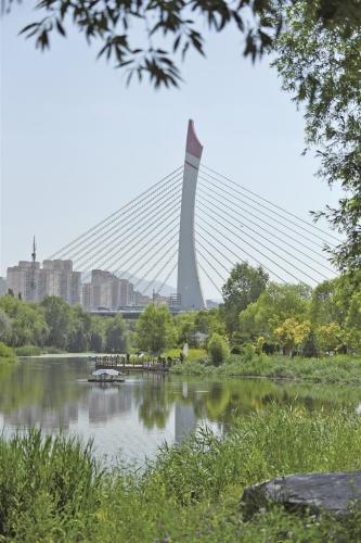 QQ图片20250814064844