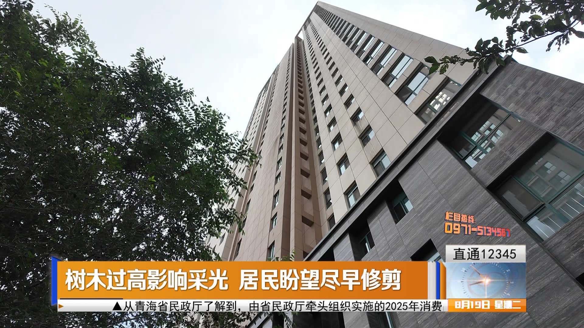 【直通12345】树木过高影响采光 居民盼望尽早修剪