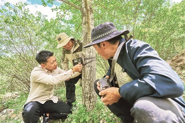 QQ图片20250828064409
