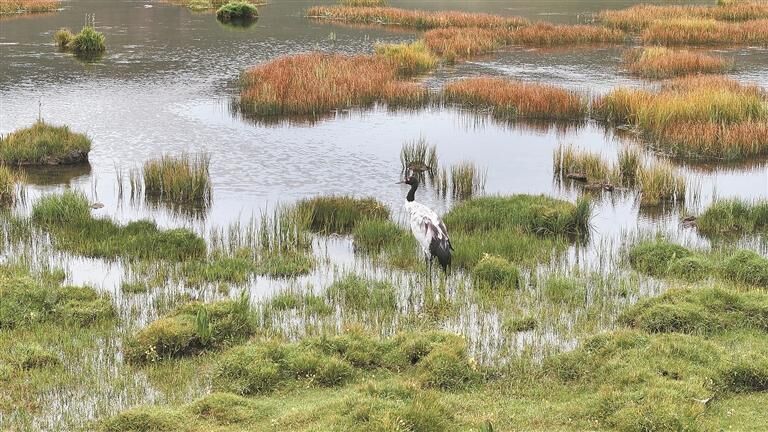 QQ图片20250909054217