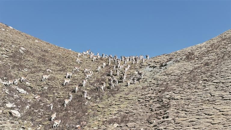 QQ图片20250909054225