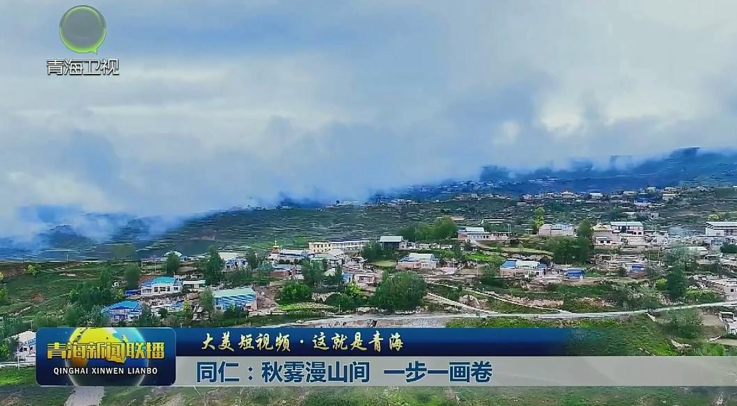【大美短视频·这就是青海】同仁：秋雾漫山间 一步一画卷