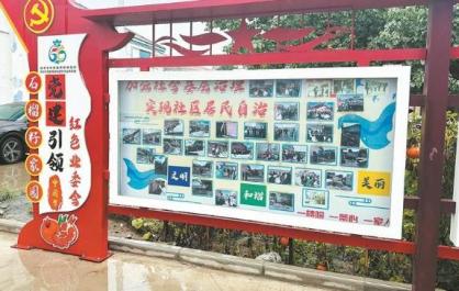【感党恩 听党话 跟党走·和谐青海行】林荫深处石榴红