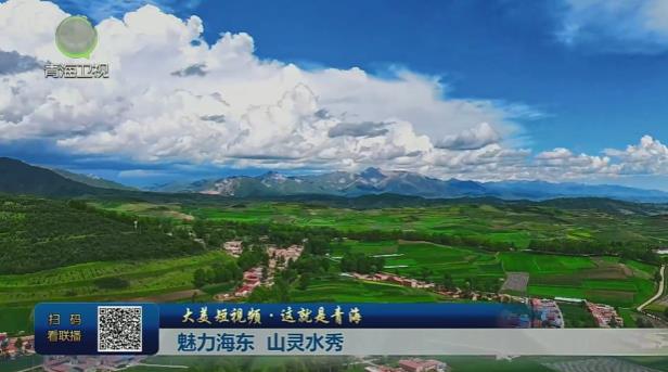 【大美短视频·这就是青海】魅力海东 山灵水秀