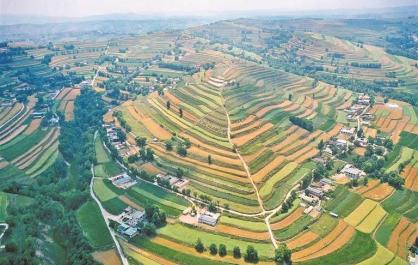 【庆农业丰收 享美好生活】“丰”景无限看高原——写在第八个“中国农民丰收节”到来之际