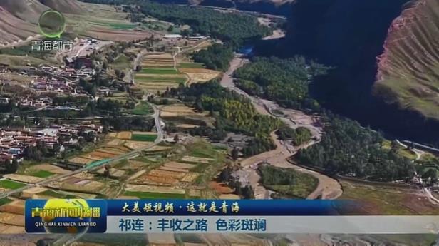 【大美短视频·这就是青海】祁连：丰收之路 色彩斑斓