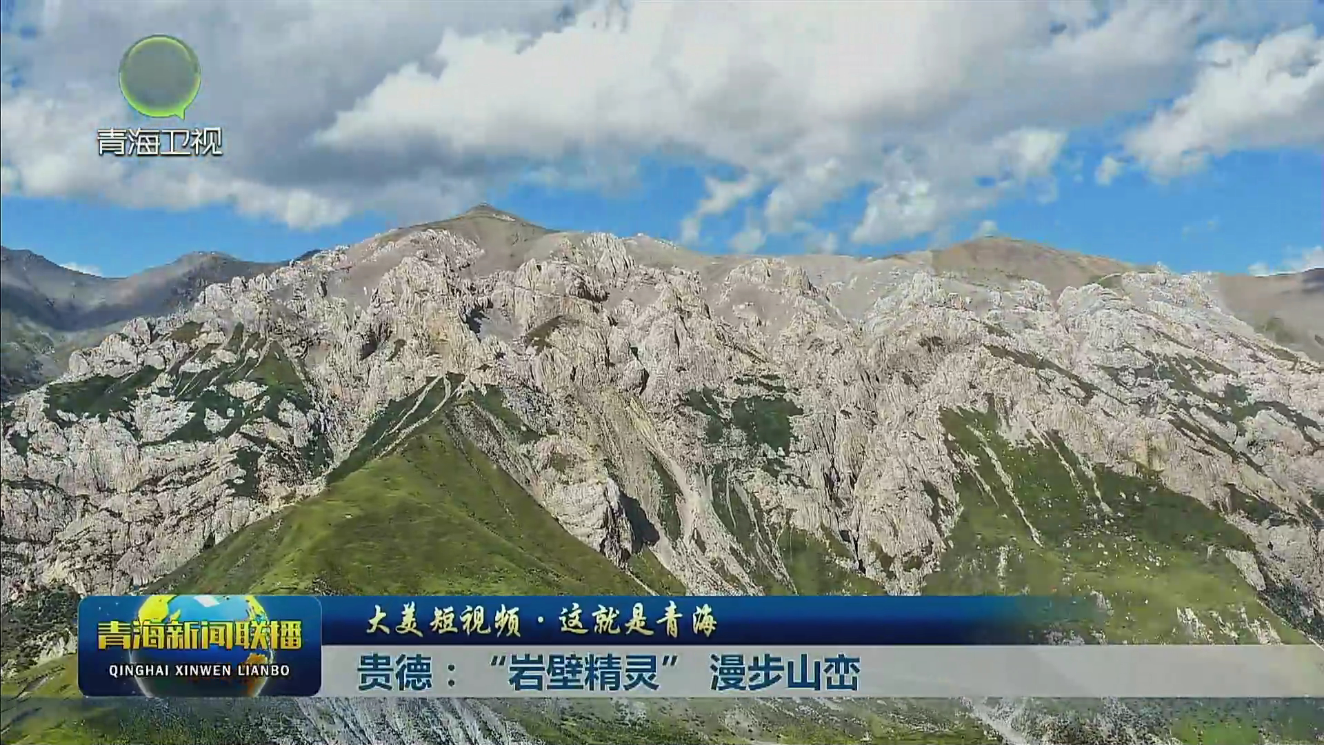 【大美短视频·这就是青海】贵德：“岩壁精灵” 漫步山峦