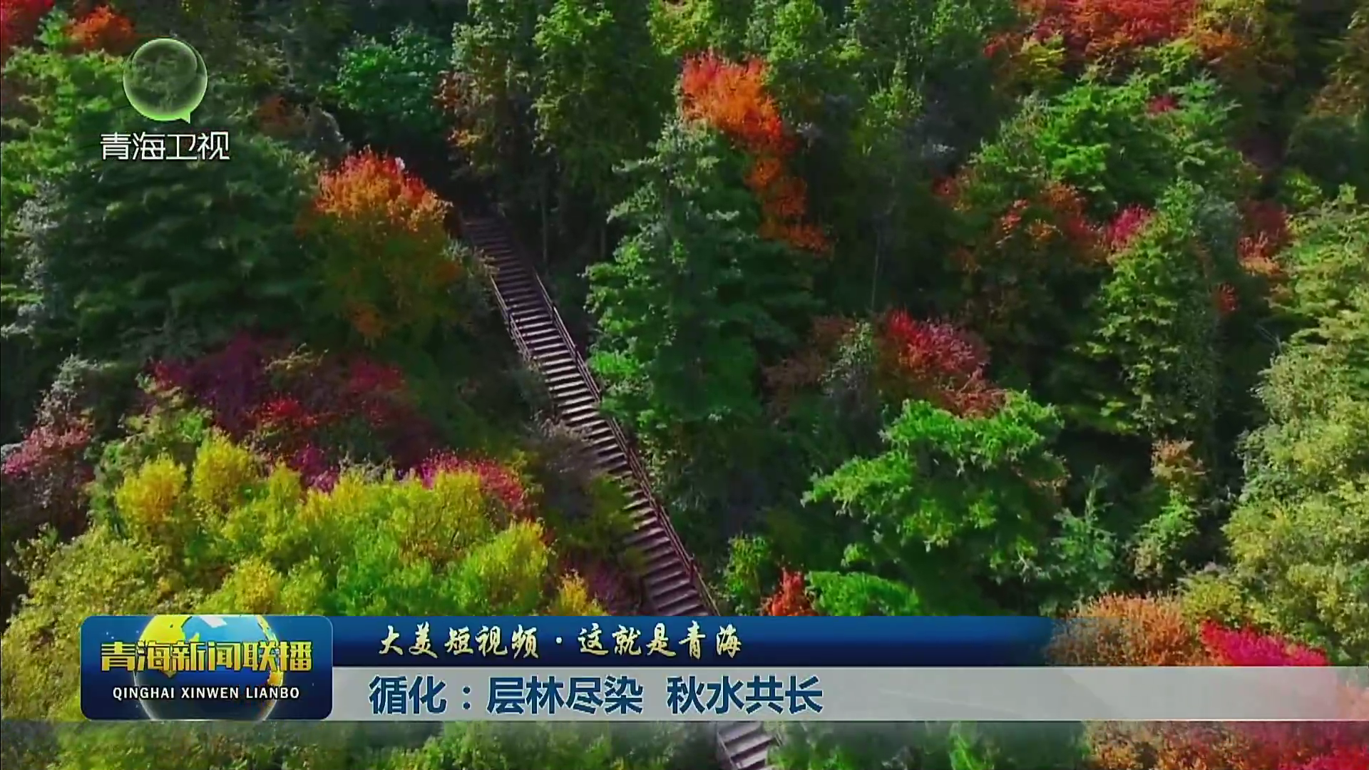 【大美短視頻·這就是青?！垦簩恿直M染 秋水共長(zhǎng)