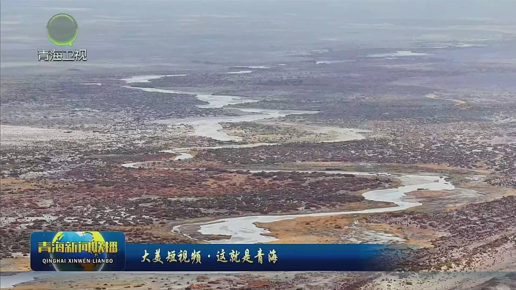 【大美短視頻·這就是青?！繛跆m：沙漠戈壁藏濕地 金秋景致入畫來